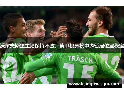 沃尔夫斯堡主场保持不败，德甲积分榜中游暂居位置稳定